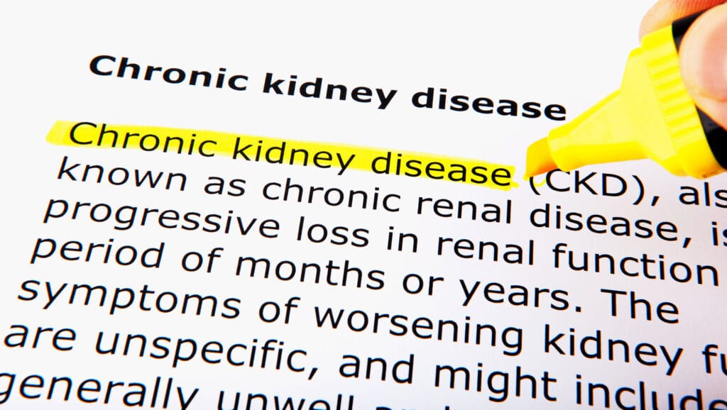 Illustration representing kidney health and genetic risk by organ