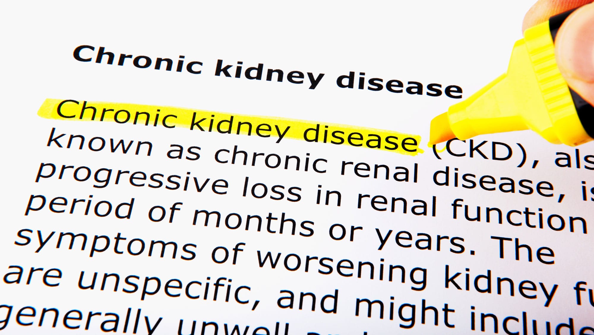 Illustration representing kidney health and genetic risk by organ