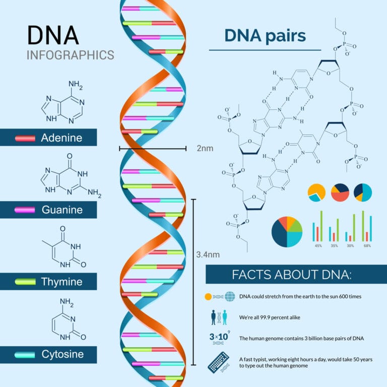 What is DNA - Advancements in DNA Analysis Methods and Techniques