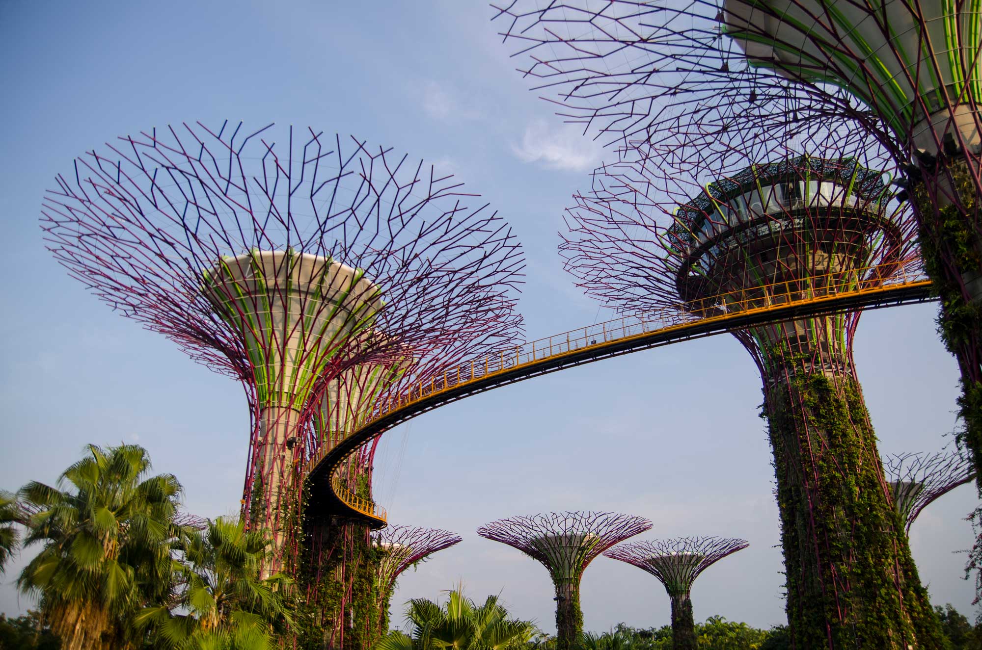 Gardens By the Bay Supertrees Singapore