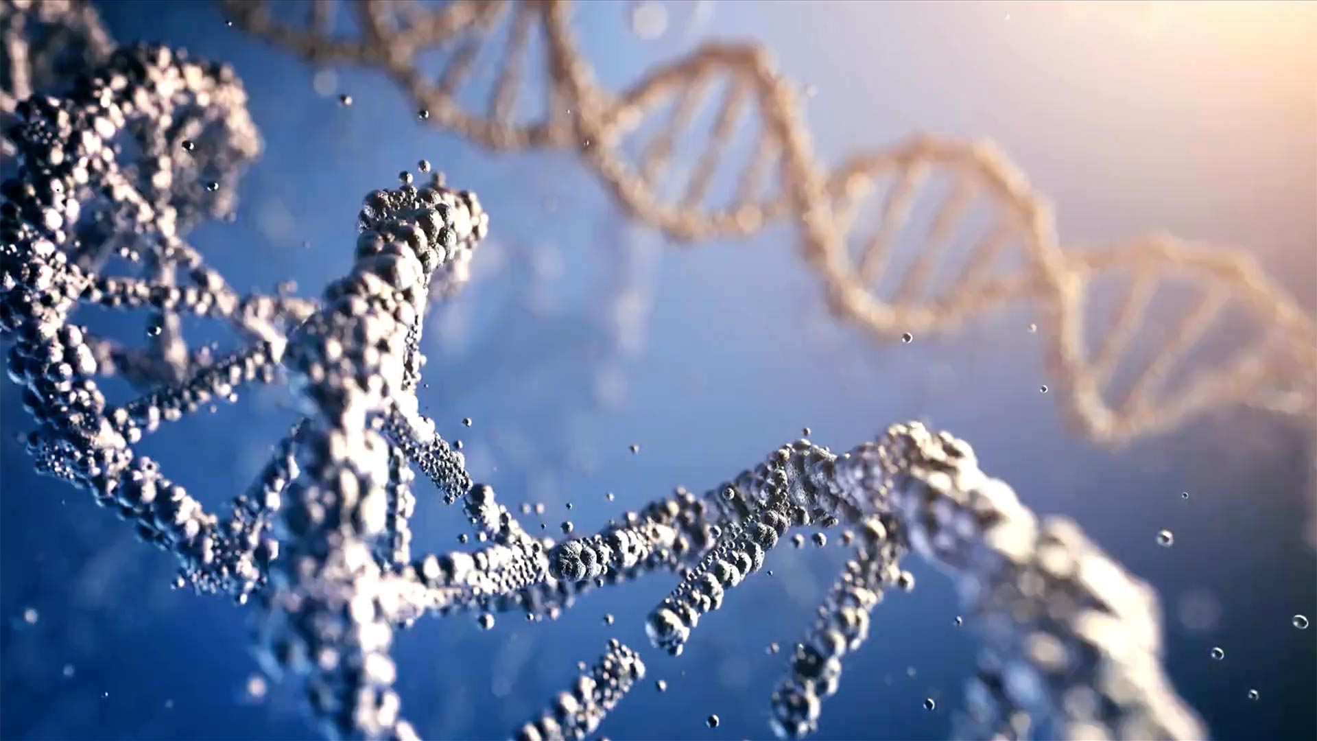 DNA Testing Singapore Helix