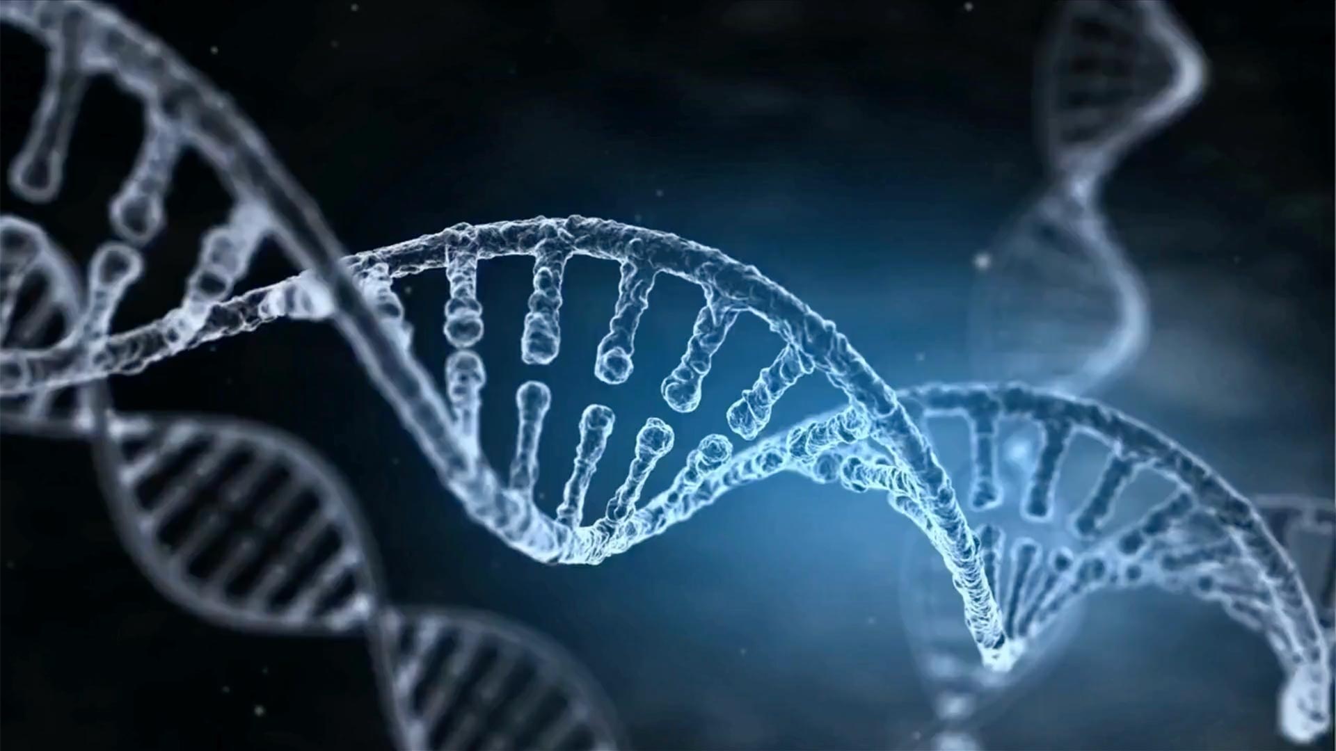 DNA Testing Singapore Helix