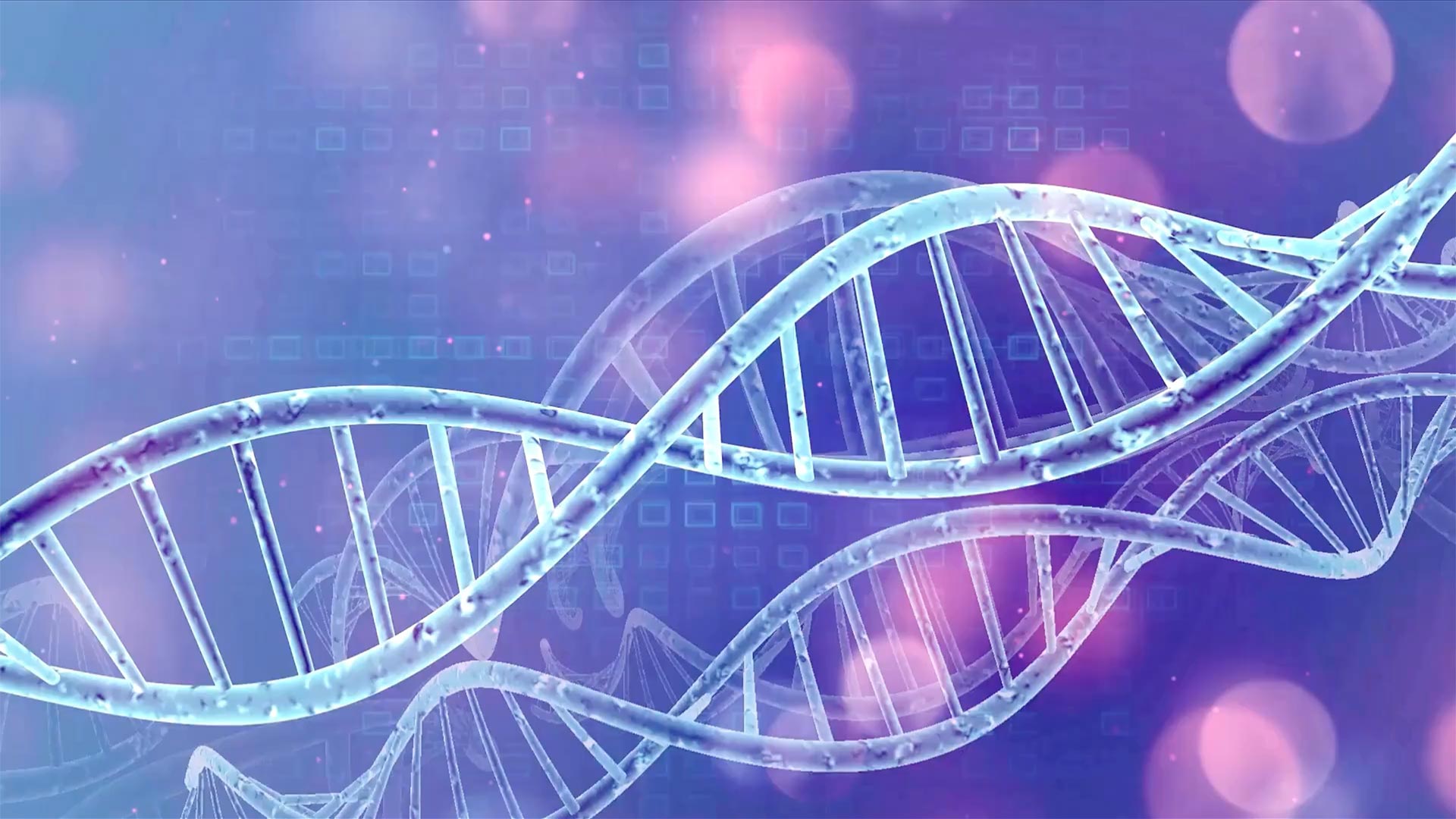 DNA Testing Singapore Helix