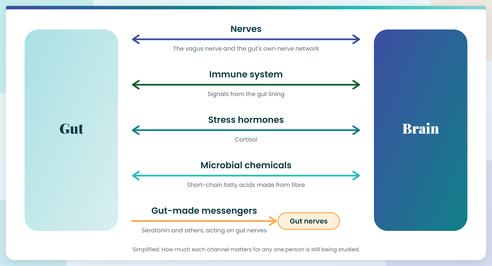 Diagram of five two-way channels between gut and brain: nerves, immune system, stress hormones, microbial chemicals, messengers