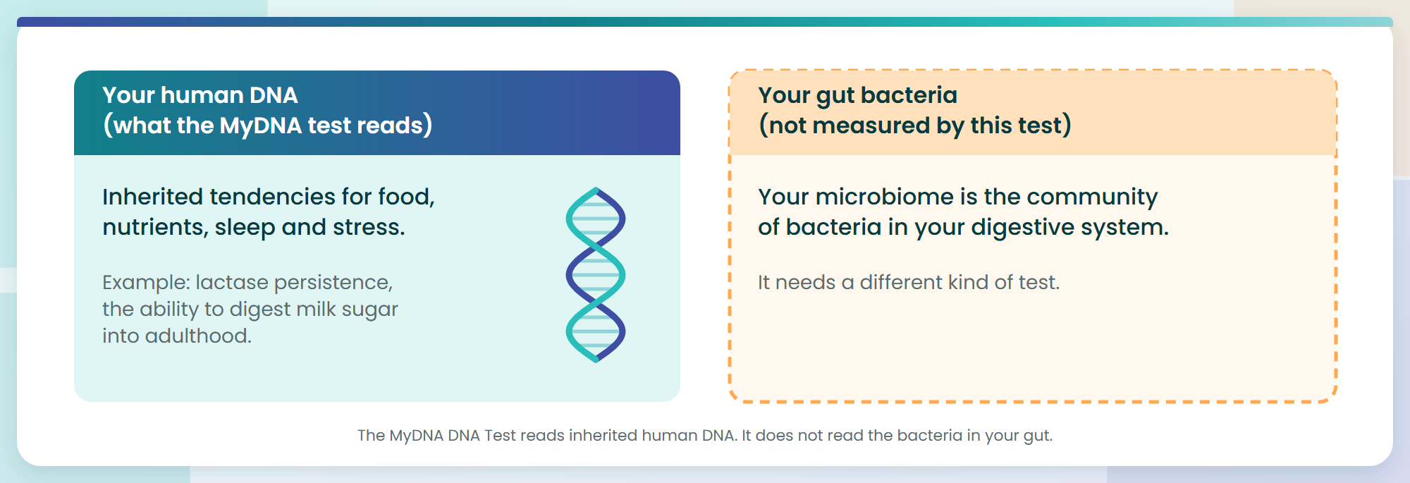 Two panels: human DNA, which MyDNA reads, and gut bacteria, which this test does not measure